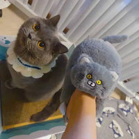 Chaussons Chinois Peluche Chat Câlin