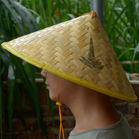 Chapeau Chinois Bambou