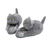 Chaussons Chinois Peluche Chat Câlin