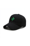 Casquette Cactus